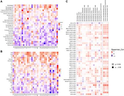 AP3S1 is a Novel Prognostic Biomarker and Correlated With an Immunosuppressive Tumor Microenvironment in Pan-Cancer